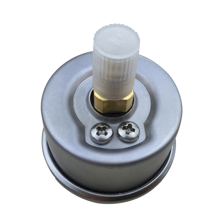 Fuel Pressure Gauge 100 psi