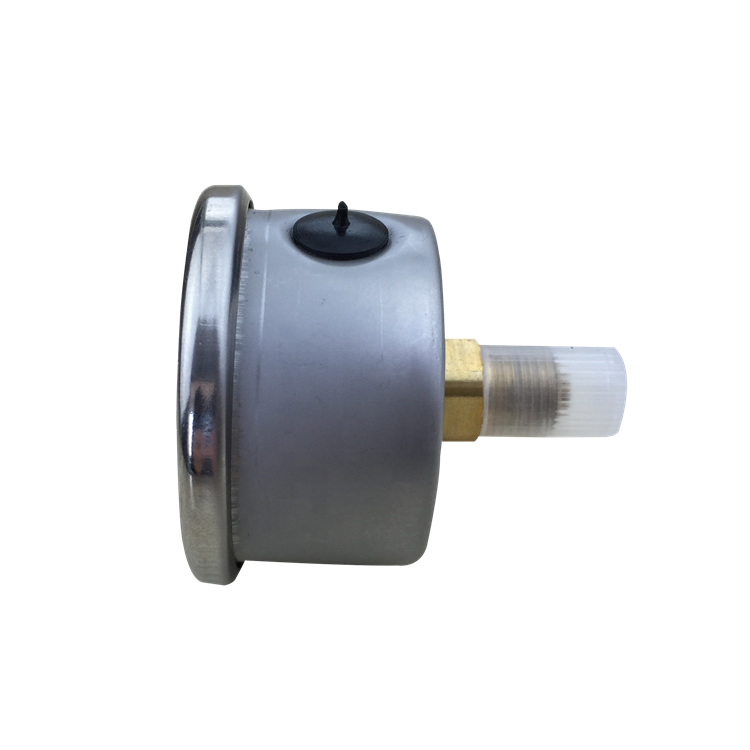 Fuel Pressure Gauge 100 psi