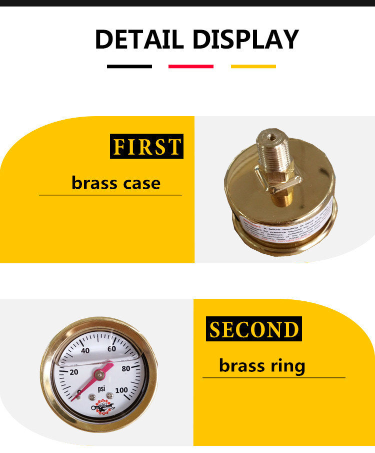 Fuel Pressure Gauge 100 psi